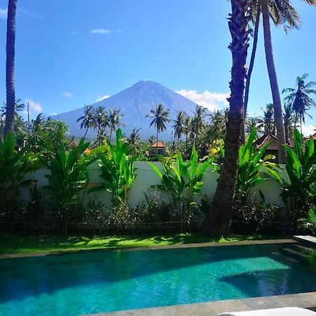 Villa Uhaina 아메드 외부 사진